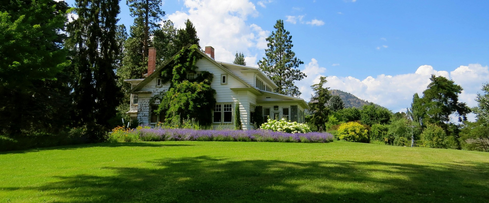 Creating Portland's Green Oasis: The Perfect Partnership Between Landscape Design And Lawn Care