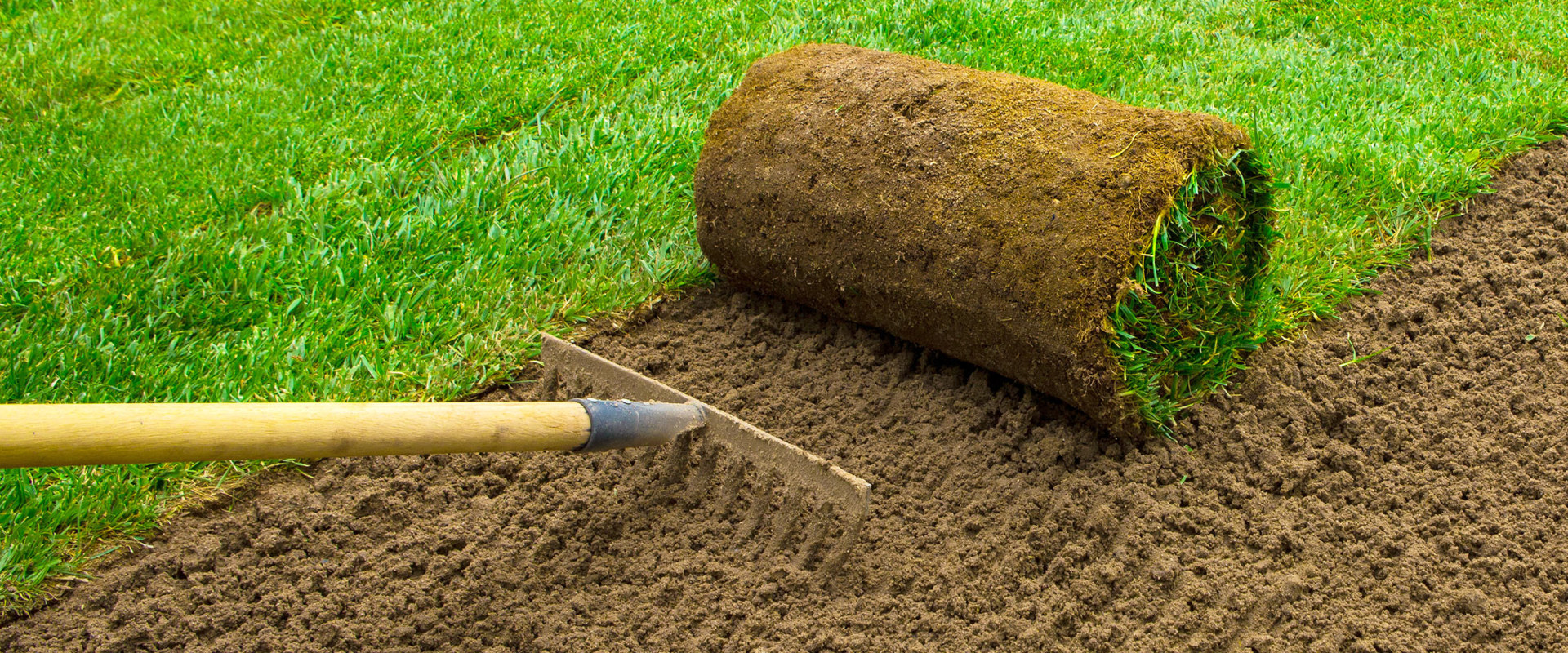 Year-Round Lawn Care Services Planning Guide