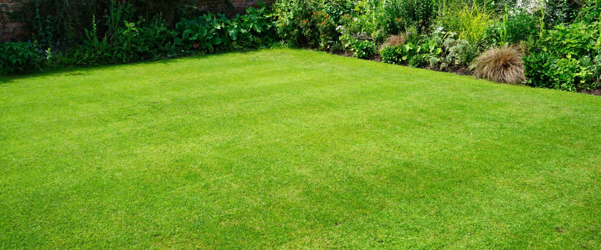 Lawn Care Services Made Easy: Achieve a Lush, Healthy Yard All Year Round