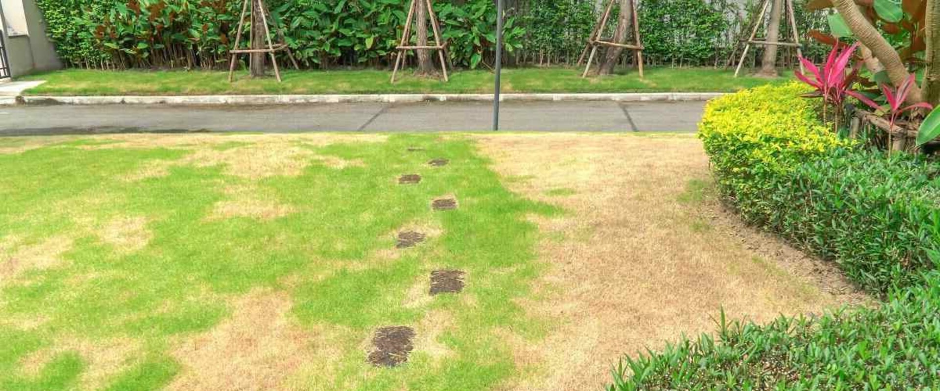 The Cleaning Problems Lawn Care Services Accidentally Create