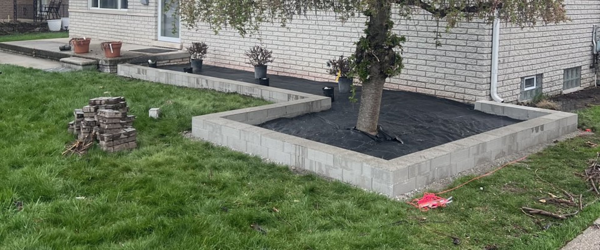Tree Cutting And Lawn Care Services In Kalamazoo, MI: A Winning Combo For A Healthy Yard