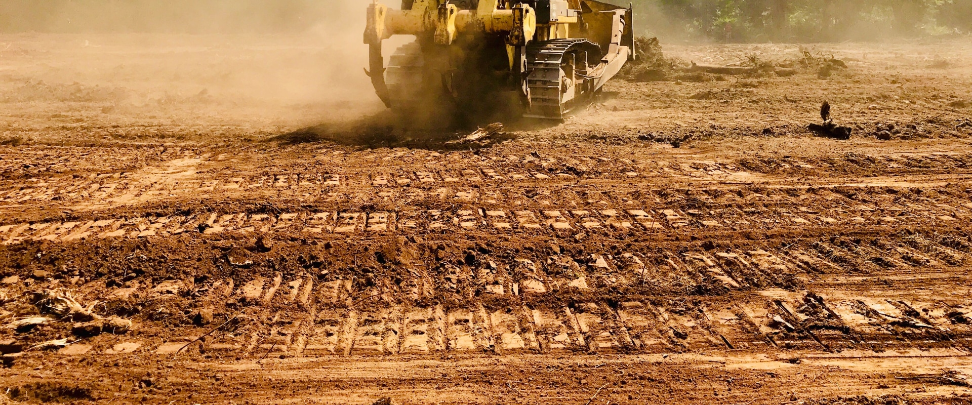 Transform Your Yard with Expert Land Clearing & Lawn Care