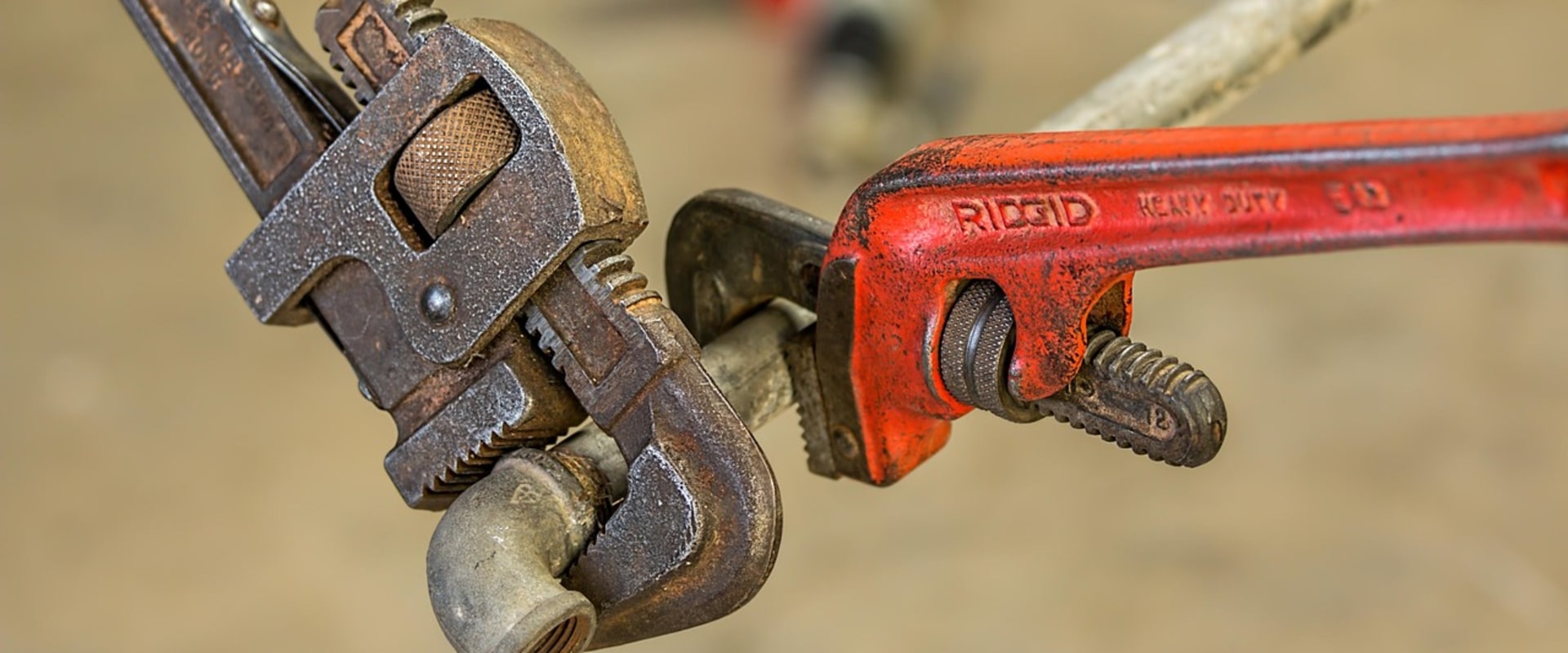 Camera Inspection for Plumbing in Phoenix, AZ: Lessons from Lawn Care Services