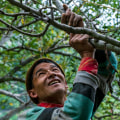 Partnering With A Tree Care Company To Strengthen Lawn Care Services In Leander, TX