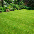 Lawn Care Services Made Easy: Achieve a Lush, Healthy Yard All Year Round