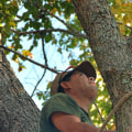 Expert Fallen Tree Removal in Virginia Beach