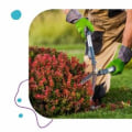 How Lawn Care Services Support Better Accessibility for Outdoor Maintenance and Repairs