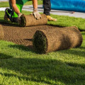 How Roofing Services Can Help Protect Newly Installed Sod and Landscaping Features