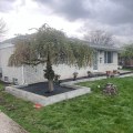 Tree Cutting And Lawn Care Services In Kalamazoo, MI: A Winning Combo For A Healthy Yard