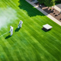 Why Healthy Lawns from Professional Services Deter Unwanted Pests