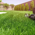 Enhancing Lawn Care Services with Smart Equipment and Tool Selection