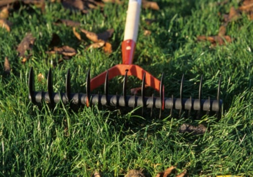 Top Lawn Care Services in Toledo: Keep Your Yard Healthy and Beautiful