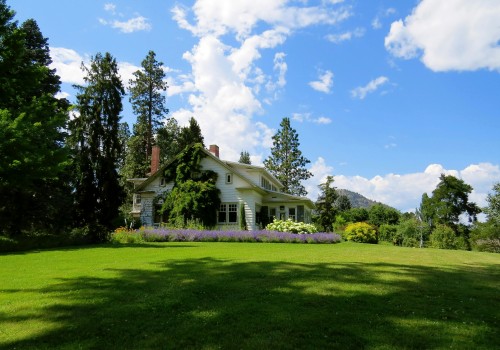 Creating Portland's Green Oasis: The Perfect Partnership Between Landscape Design And Lawn Care
