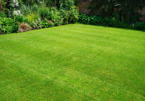 Lawn Care Services Made Easy: Achieve a Lush, Healthy Yard All Year Round