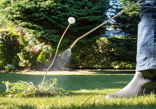 The Ultimate Guide to Requesting a Quote from a Lawn Care Service