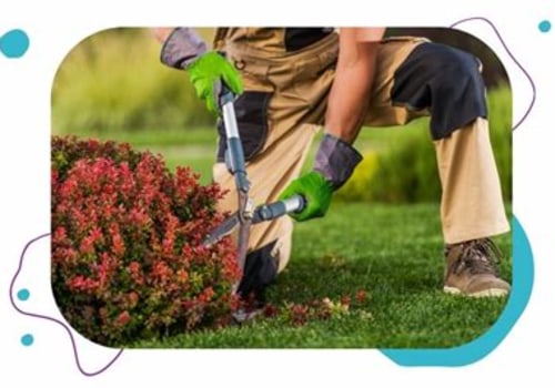 How Lawn Care Services Support Better Accessibility for Outdoor Maintenance and Repairs