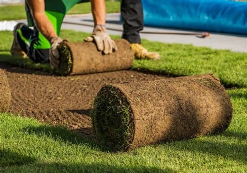 How Roofing Services Can Help Protect Newly Installed Sod and Landscaping Features